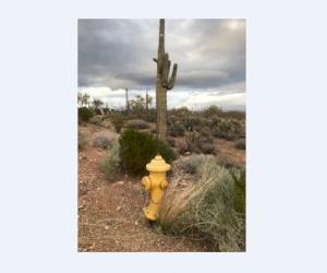 Clow hydrant spotted near Fort McDowell Resort in Scottsdale, Arizona